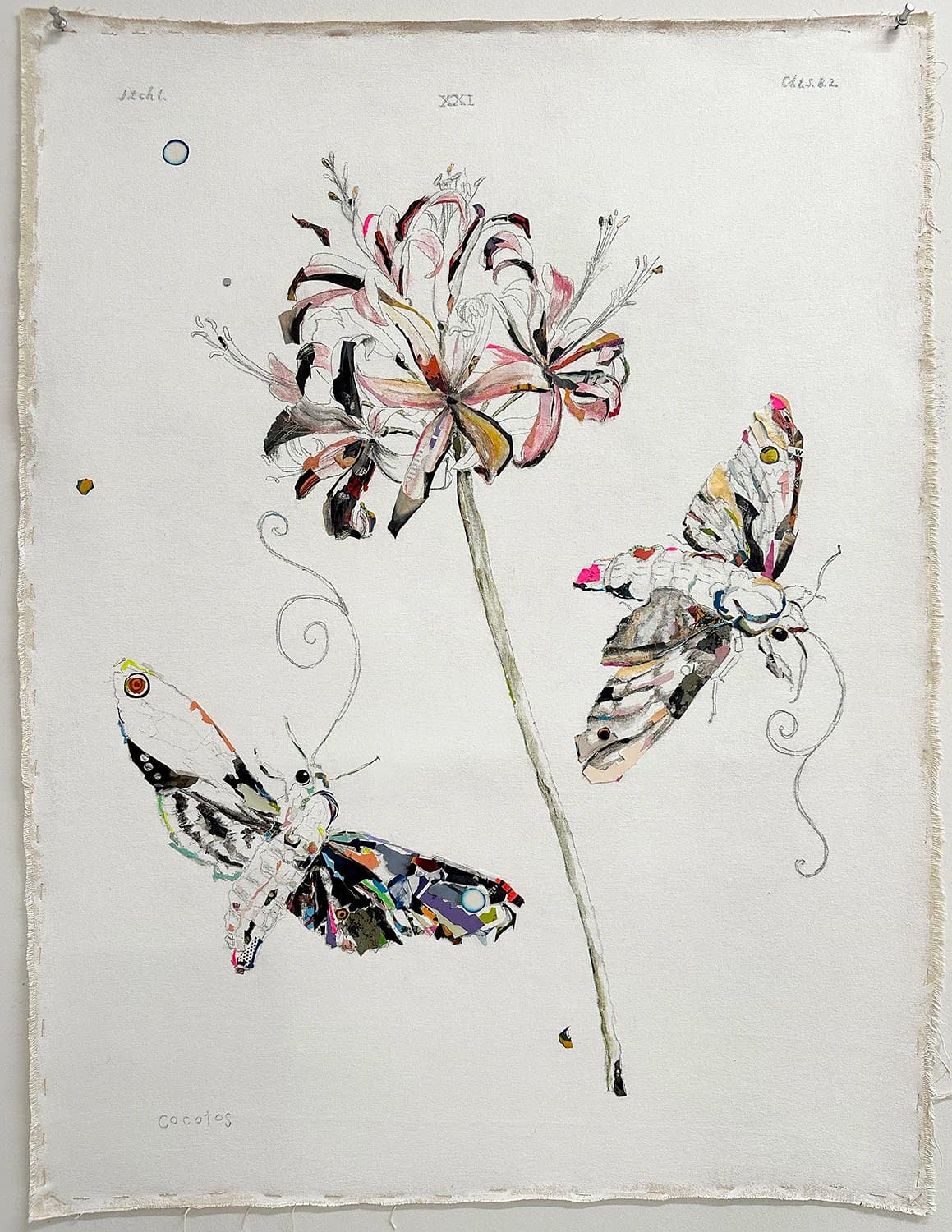 Bubble Wishes (Botanical 3-2)